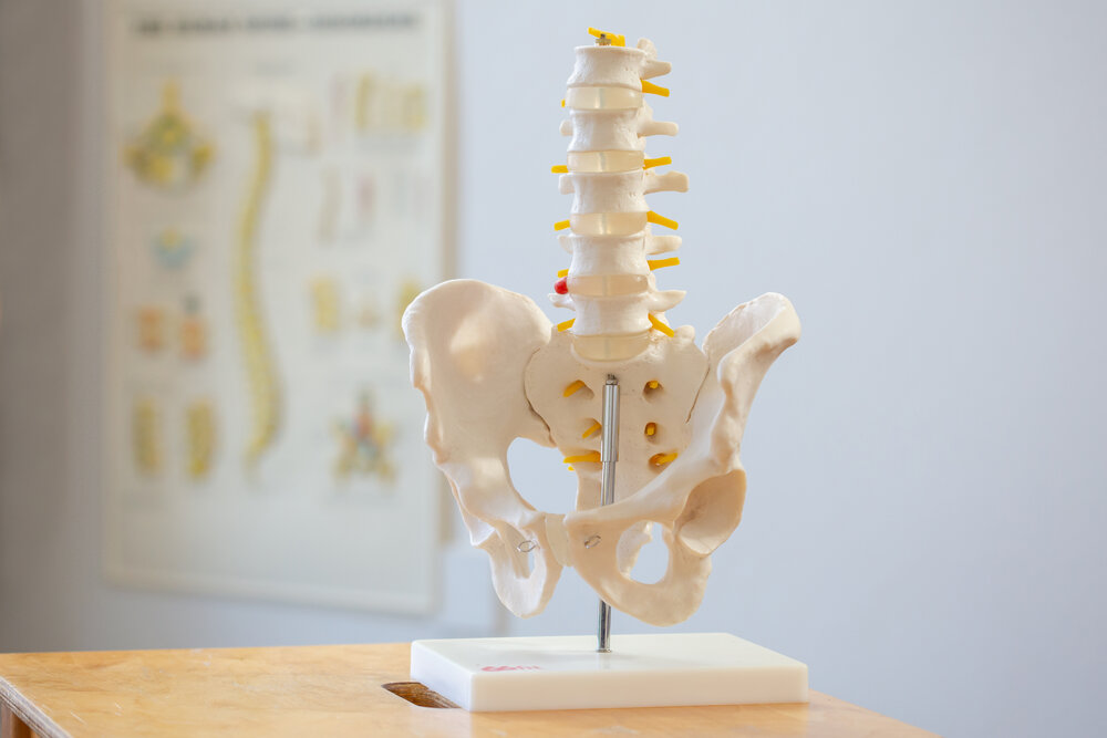 MANAGING YOUR BONE, JOINT AND MUSCLE PAIN RESOURCES